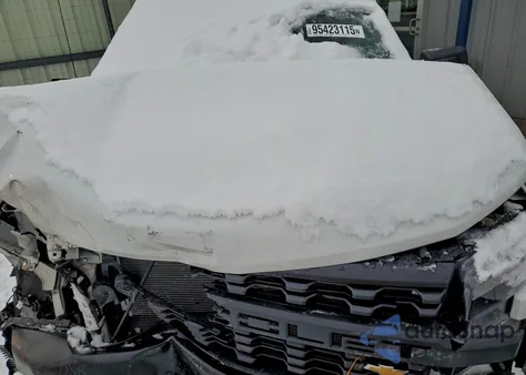 2019 Chevrolet Silverado C1500 z USA, uszkodzony, nr VIN 1GCRWAEH1KZ203889